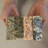 Best Sellers Gift Pack | 8 bars