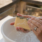 The Soapmaker's Dozen | 13 bars